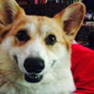 Meet your Posher, Austin